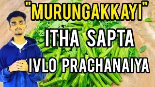 Murungakkayi nanmaigal marrum theemaigal. 