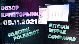 Обзор крипторынка: Bitcoin, Filecoin, Polkadot, Ripple, Compaund | 08.11.21