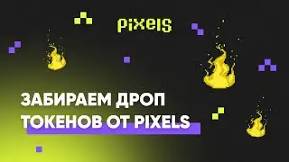 Срочно забираем первый дроп токенов Berry от Pixels | Забираем бесплатную землю от Pixels