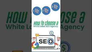 Как выбрать SEO-агентство под собственной торговой маркой (White Label)