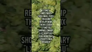 GG#4 Smalls SIMPLYMARY Thca Flower #simplymary