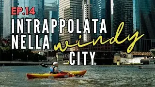Dovremmo essere tutti come farfalle