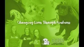 AARCS' New Veterinary Hospital!