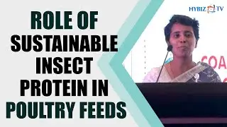 Anupa Velusamy,KovaiBSF | Sustainable Insect Protein in Poultry Feeds | IVPI Bengaluru 2022Hybiz tv