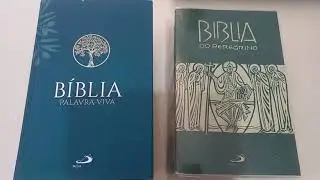 BÍBLIA DE ESTUDO PALAVRA VIVA  X  PEREGRINO. Qual é a melhor?🤔
