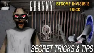 Granny tips and tricks/INVISIBLE trick/On vtg!