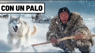 C&oacute;mo los INUIT Cazan LOBOS &Aacute;rticos con SOLO un PALO y su Valent&iacute;a&hellip;