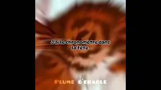 d&eacute;pass&eacute; - nuit incolore - &oelig;il de geai et Plume de flamme #warriorcats #lgdc #edit