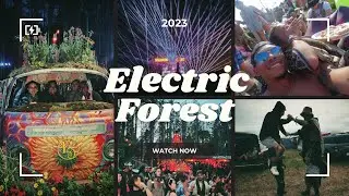 Remembering Electric Forest 2023 :)