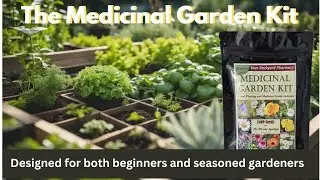 Seed to Remedy &ndash; The Medicinal Garden Kit