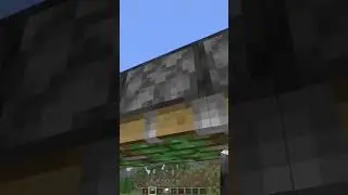 Cool Minecraft shutter style door🤣