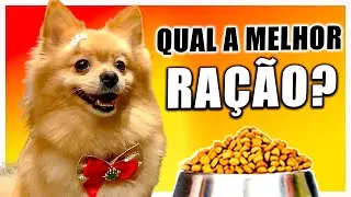 6 MELHORES Rações para SPITZ ALEMÃO (Lulu da Pomerânia)