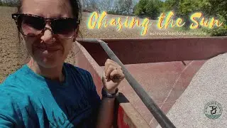 В погоне за солнцем... удобрение и посадка теффа. День 1 &mdash; #WieczorekFarms #FarmHer #Plant2021