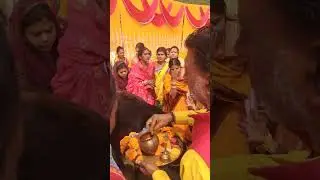 Worship of mother cow 🐄 in Vishal Hindu sammelan 