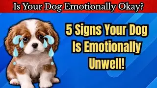 5 Signs Your Dog Is Emotionally Unwell!