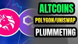 Polygon & Uniswap Crash: What Caused the Altcoin Freefall?