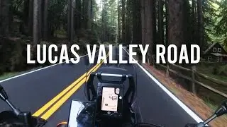 Yamaha T&eacute;n&eacute;r&eacute; 700 | Lucas Valley Road