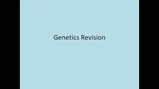 20 Nov Genetics Revision lecture