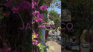 Mornings in Barrio de Jalatlaco 💗🇲🇽🌸 #oaxaca #oaxacacity #oaxacamexico #mexicovlog #mexicolindo