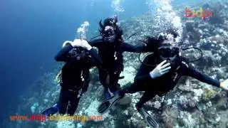 Alice n Janto's family Fundive Pulau menjangan bali