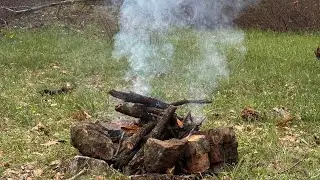 05.04.2025 гуляю в лесу