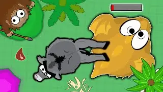 NEW RARE JACKASS TROLLING IN MOPE.IO