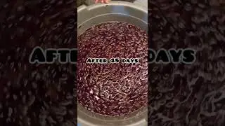 Homemade Grape Wine 🍷 making recipe @Low cost | Easy Making in Tamil #redwine #healthy #allwinjilly