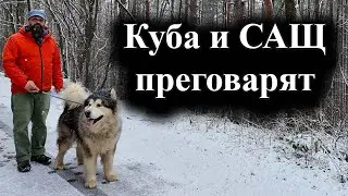 Американски и кубински представители имат тайна среща в Мексико – 01.02.2026 г.