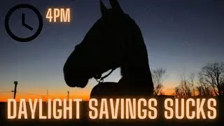DAYLIGHT SAVINGS SUCKS: Equestrian Tips for Winter Motivation //Kaitehh Equestrian