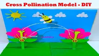 pollination model 3d for science project exhibition | biology projects | craftpiller  | still model