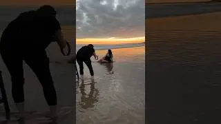 Beach Maternity Photoshoot at Sunset