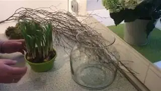 DIY: Wohn.- und Deko Idee, frühlingshafte Tischdeko mit Narzissen im Glas, Deko Natur pur/ Deko Jana