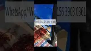 Automatic red dry chili stem cutting machine fresh green pepper stem removing destemming machine