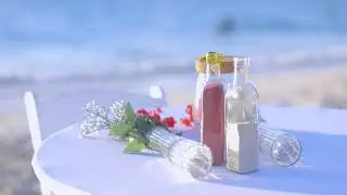 Wedding Example Reel