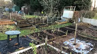 Allotment Update 9th January 2022