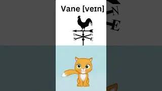 VEIN - VANE #EASYENGLISH #LISTENING #VOCABULARY #PRONUNCIATION #EDUCATION #CARTOON