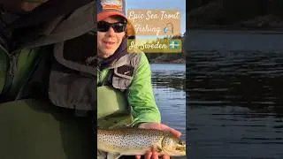 Fantastic Sea Trout Fishing in Sweden