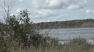 This Maine-based nonprofit is fighting climate change with conservation