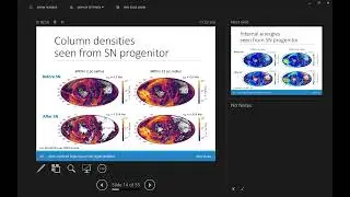 Semi-confined supernovae in HII region bubbles - Cheryl Lau @ phantom2025