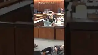 Fight at City Council Meeting #shorts #documentary #losangeles #comedy