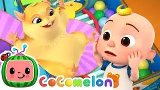 Hamster Maze Amazing Escape Challenge 🏁 | CoComelon Nursery Rhymes | Challenge Zone for Kids