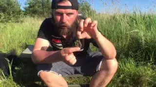 Rig Tarnung ( Krautimitat ) beim Fischen mit Boilies von RSR-Baits