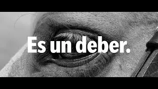 ES UN DEBER. - I Concurs Videos Curts 