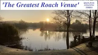 Lake of Giants - Record Roach - Record Cats - Monster Carp - Tench & Bream Doubles - Homersfield