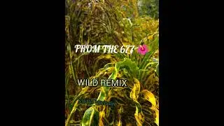 Sweet Attraction 🌺 WILD REMIX 🌺 SESIIE VIBE 2025 maito tubh
