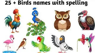 25 birds name with pictures