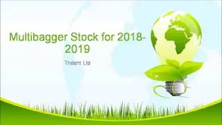 Multibagger Stock  2018-2019 (Trident Ltd)