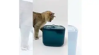 Pet Water Fountain &ndash; Automatic and USB-Powered