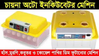 হাঁস ও মুরগি ডিম ফুটানোর চায়না অটো ইনকিউবেটর মেশিনের দাম জানুন chaina incubator machine price