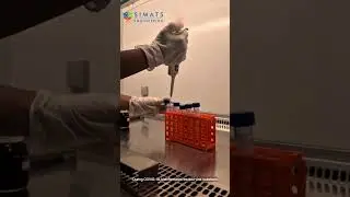 B.Tech - Bioinformatics